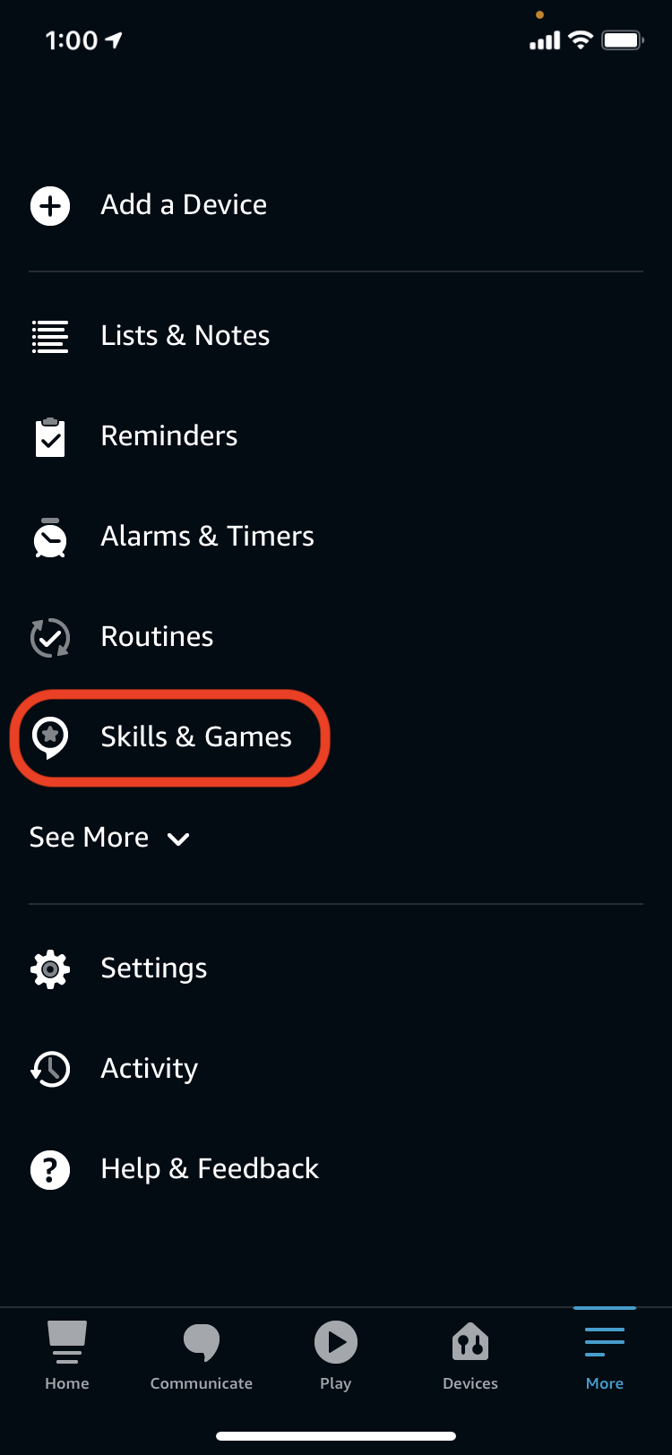 Screenshot: Alexa app "Skills and Games"