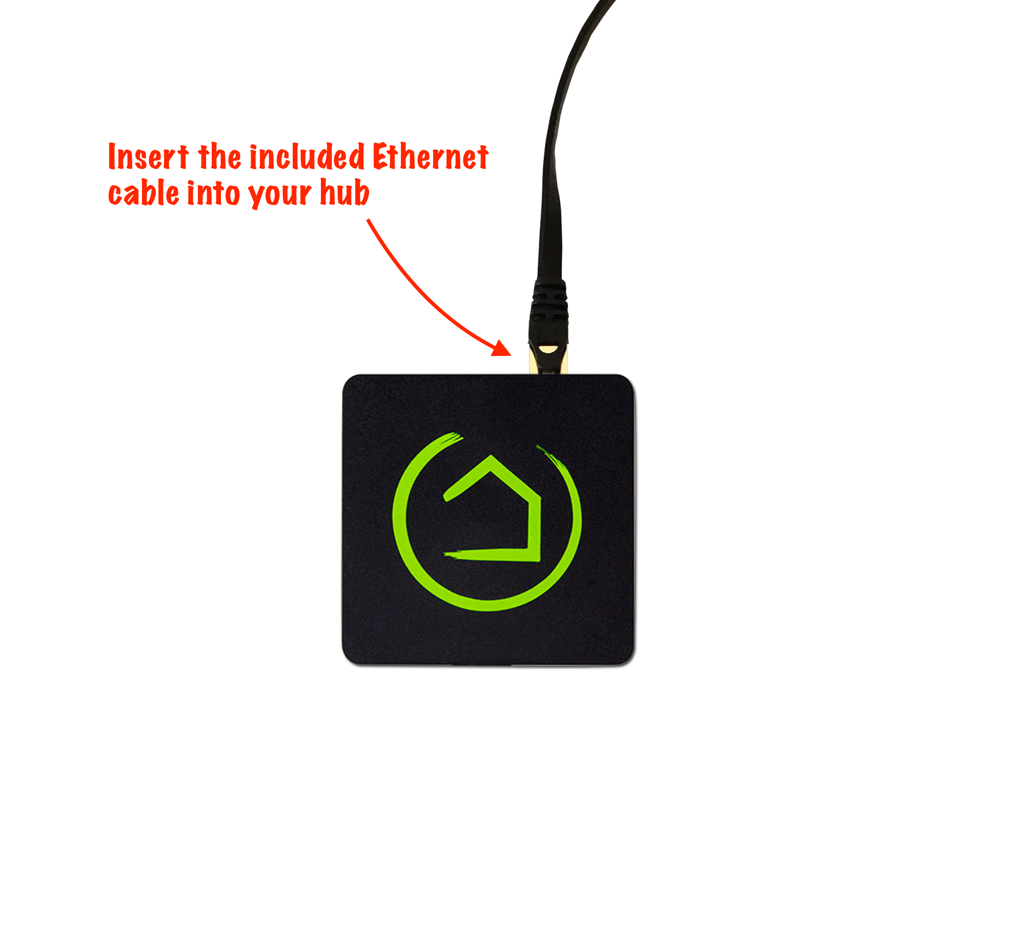 Photo: Insert included Ethernet cable into hub